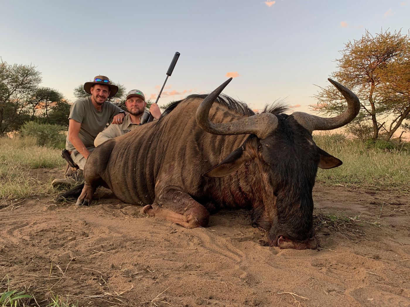 Guide and guest with a blue wildebeest bull at last light