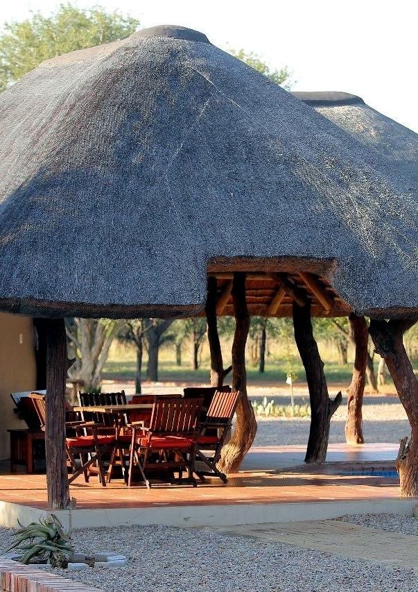 Thatched poolside lapa at a JVZ Safaris lodge