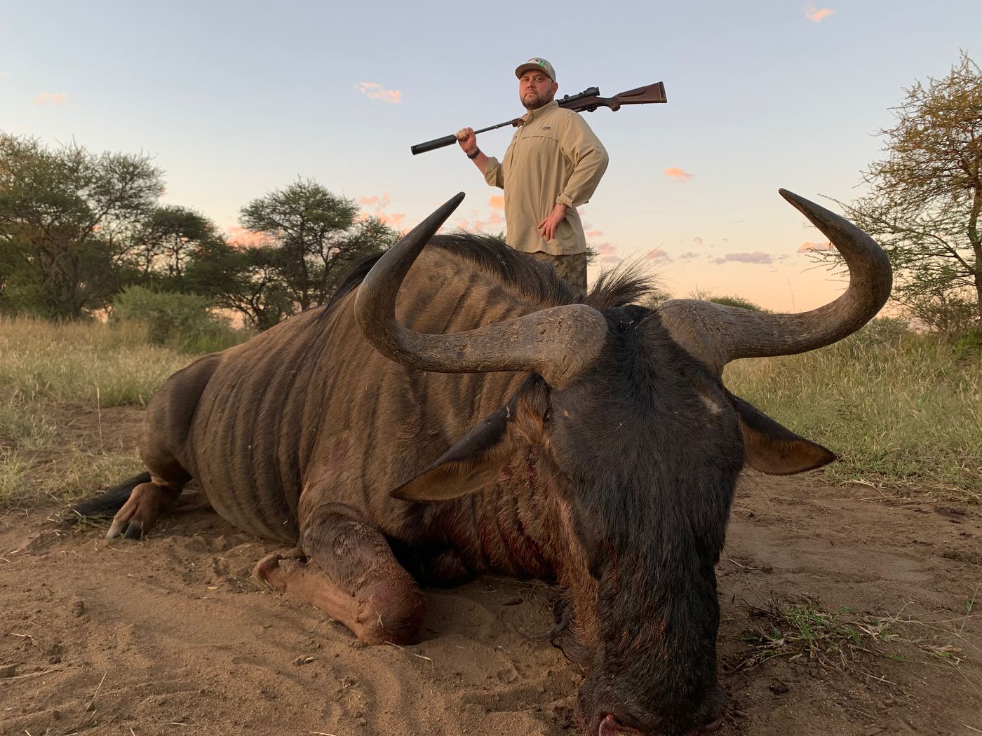 Hunter with a blue wildebeest at sunset