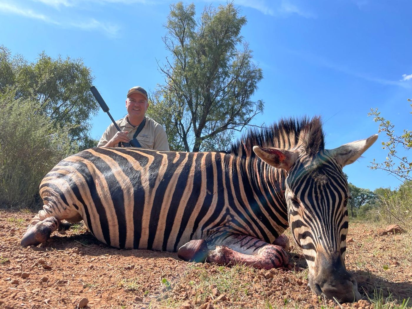 Hunter with a mountain zebra